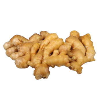 Chinese fresh ginger price wholesales